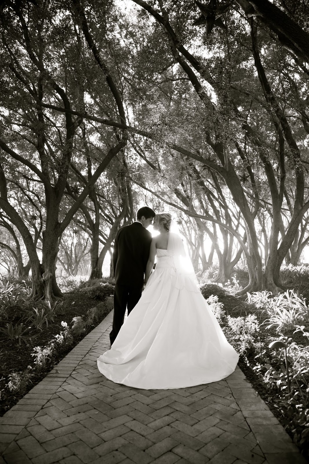 Enchanted Portraiture Padua Hills