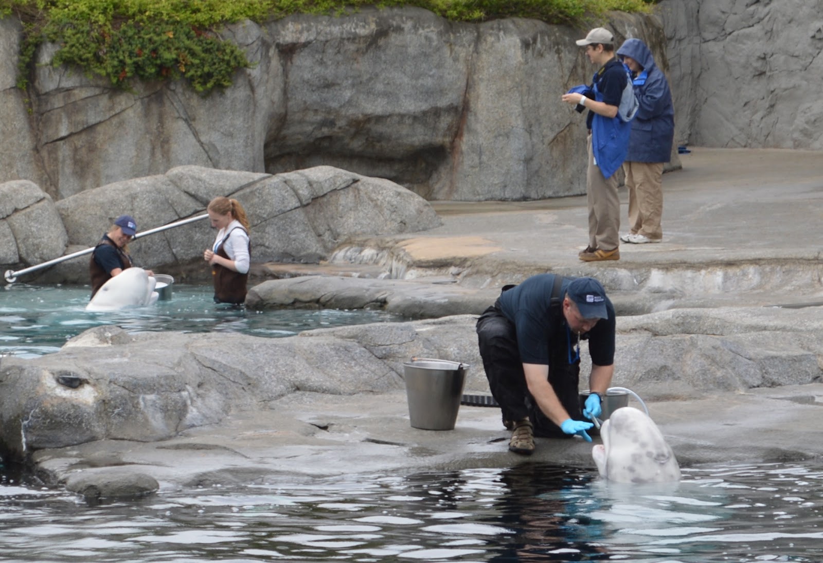 Home Place Mystic Aquarium in Mystic CT for Mother's Day 2013