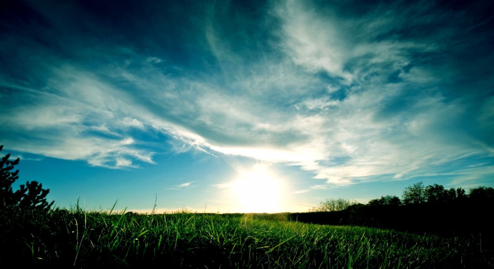 Full HD Wallpapers Green Nature Full HD Wallpapers Green Nature
