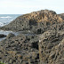 The Giant's Causeway, The Polygonal Rock Formations In Ireland