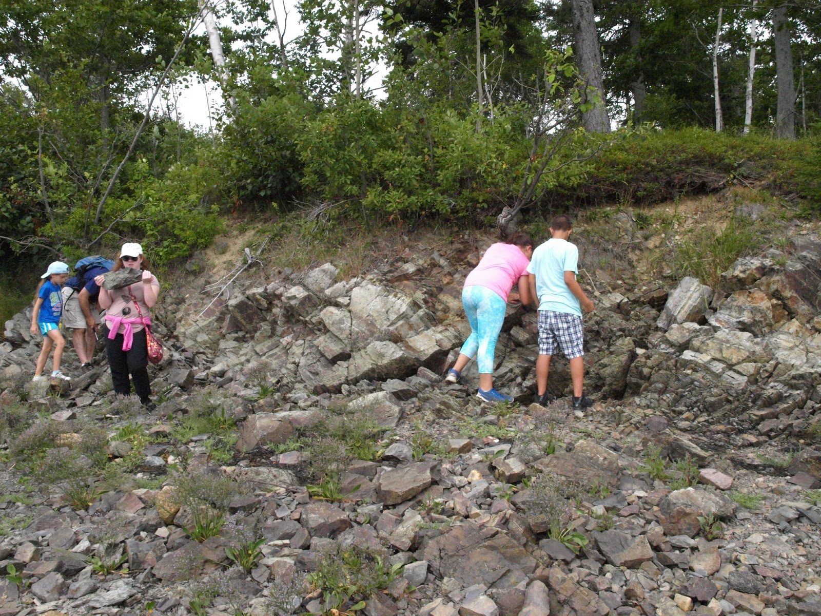 Fossil hunting in Maine Fossil Hunting Trips The Fossil Forum