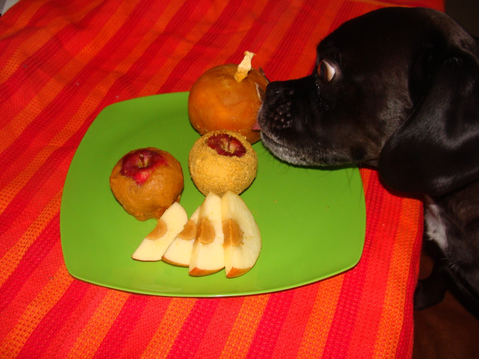 Regressive Dinner for Pets Desserts! Kol's Notes