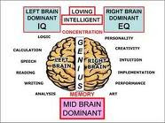 Susunan Otak Manusia
