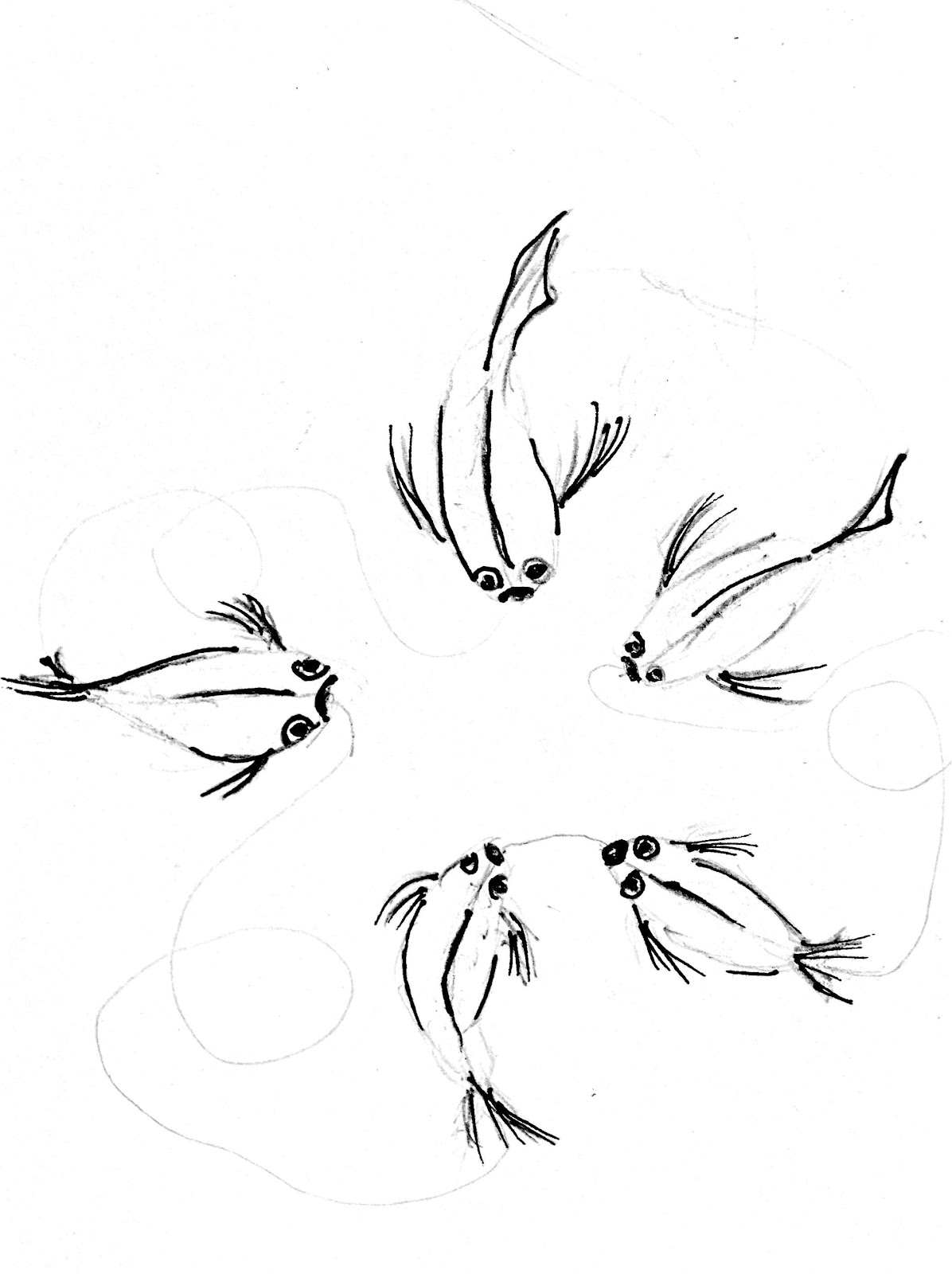 draw koi fish