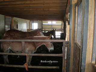 PATCHWORKPASSION: Nuestro viaje a Pensylvania 4ª y última parte