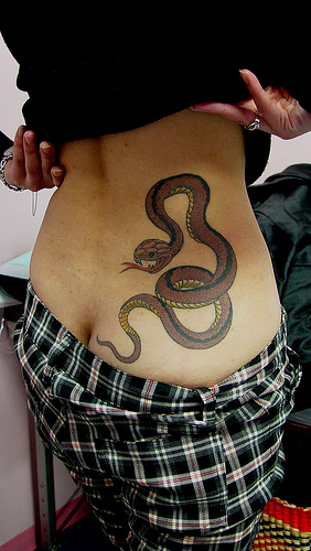 Y lan D vme Modelleri Snakes Tattoos
