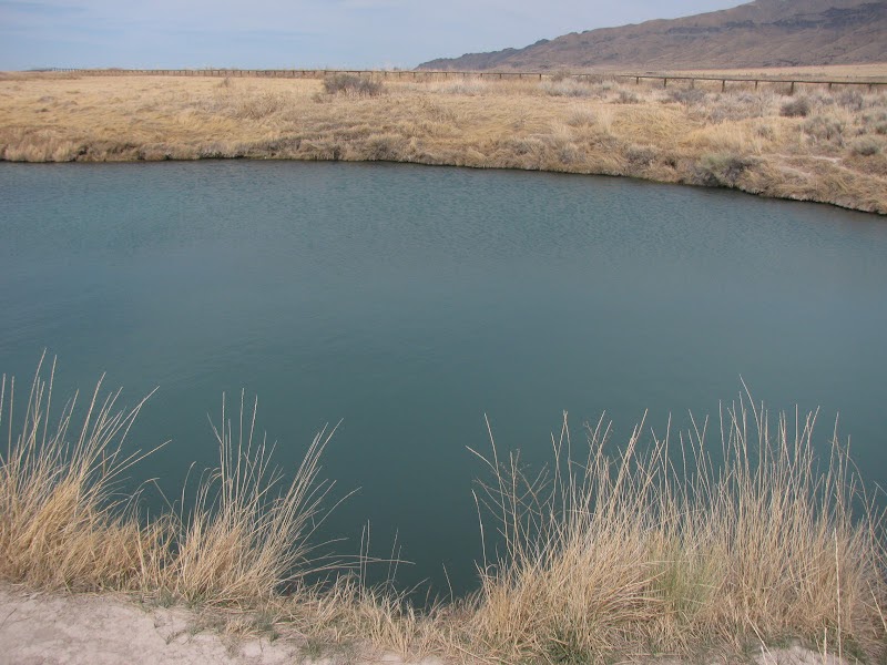 Backyard Excursions Horseshoe Springs