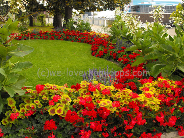 The flower gardens brighten up the front yard