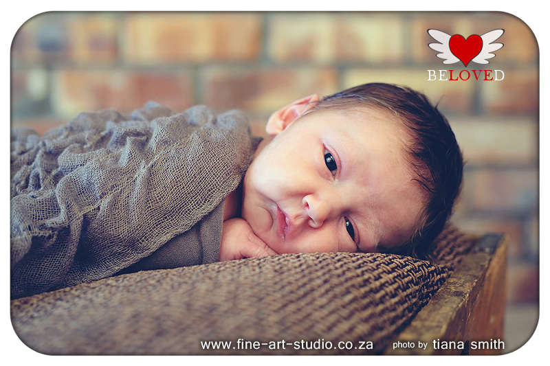 Studio Photography Durbanville Cape Town Studio Baby Newborn Photographers Aj Louwrens 2 Weeks Old