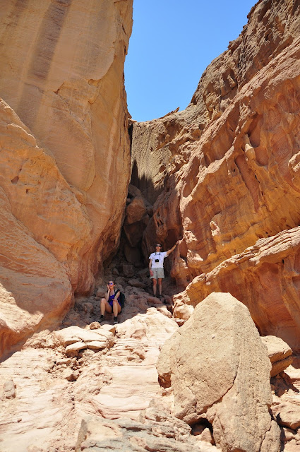Timna Park Negev Israel