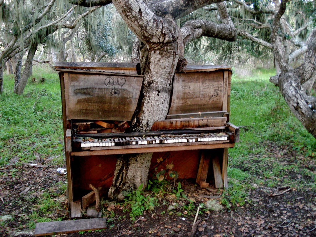 The Piano Tree