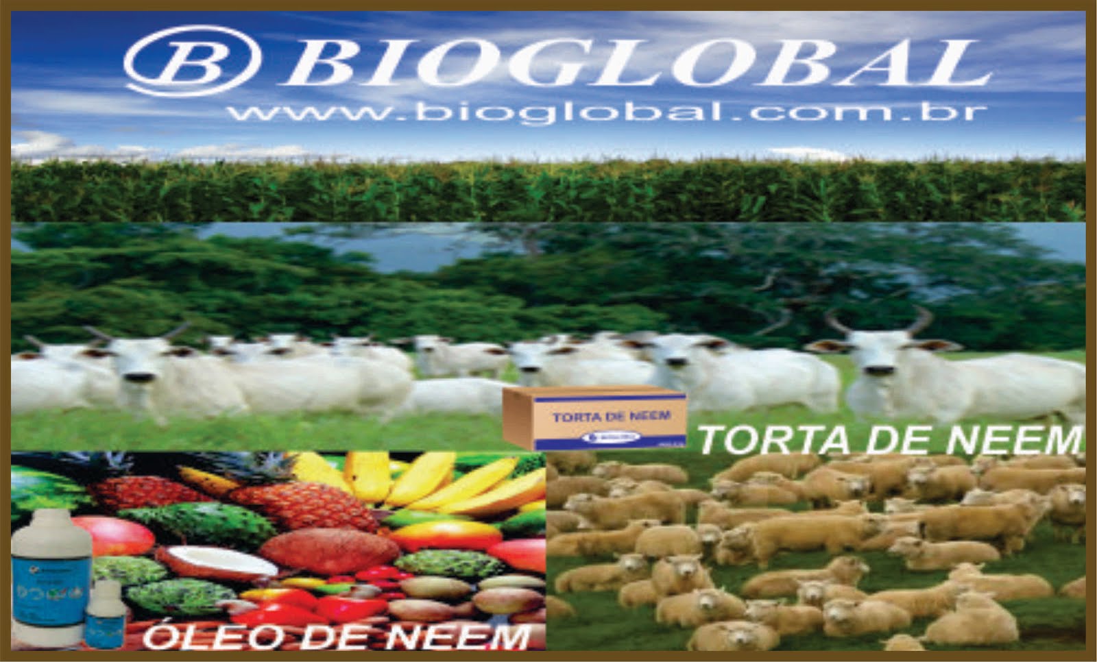 Bioglobal