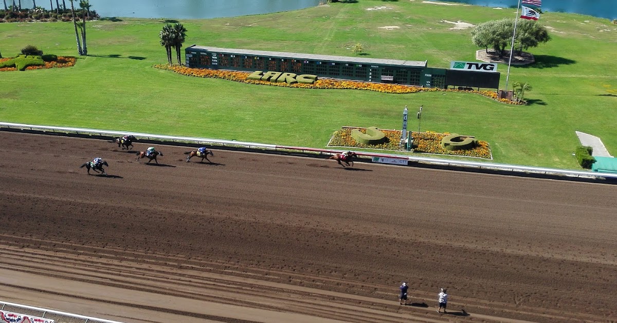 Los Alamitos Thoroughbred The Contender Stakes LosPonies