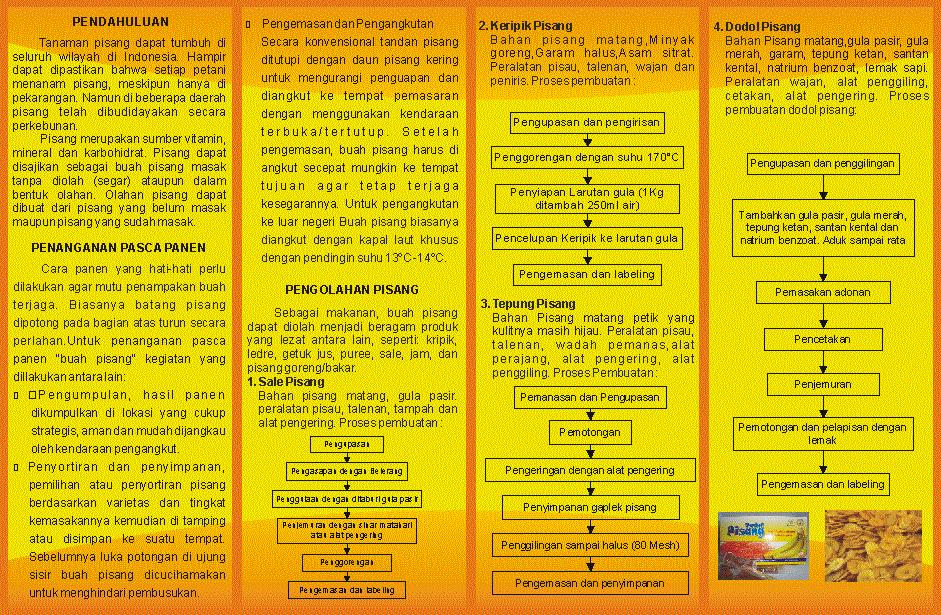 Leaflet Pasca Panen Buah PISANG DIORAMA PENYULUHAN DAN