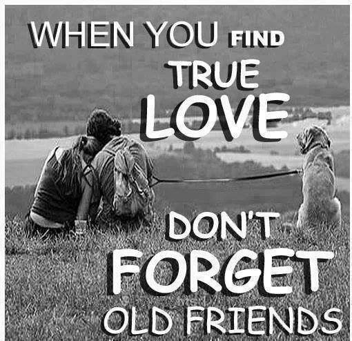 Sematkan Jiwa Kasih !: Kata-kata Ungkapan