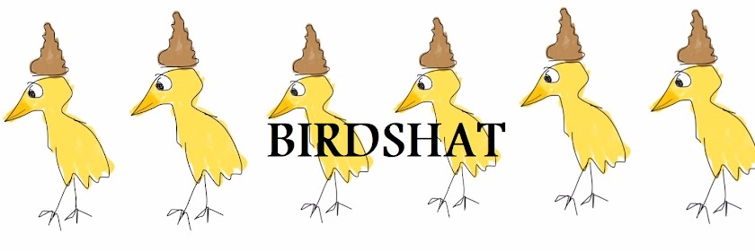                       birdshat