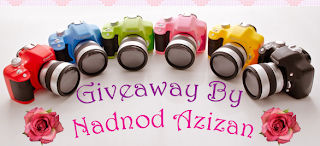 http://nadnodazizan.blogspot.com/2013/05/giveaway-camera-coins-bank-by-nadnod.html