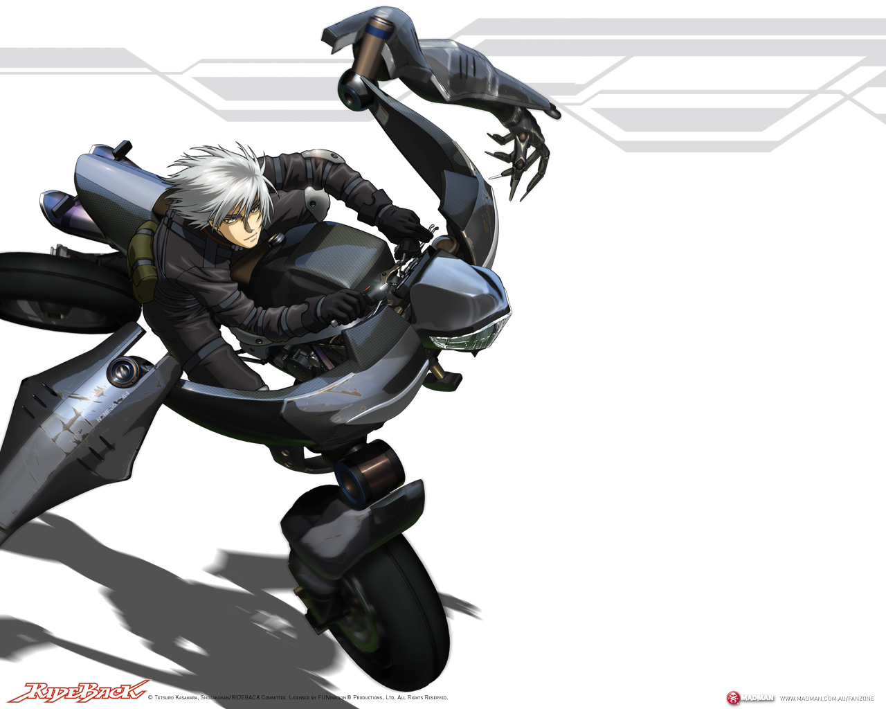 Rideback Wallpaper