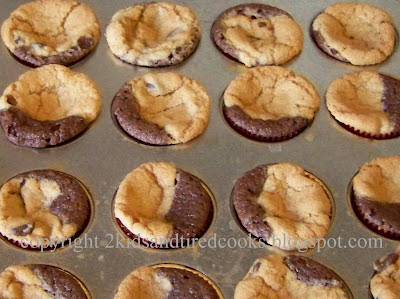 Chocolate Cookie Boxed Snak Cakes Chocolate Cookie Boxed Snak Cakes
