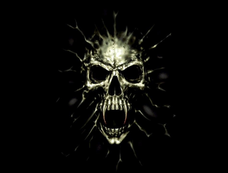 images and videos images and videos