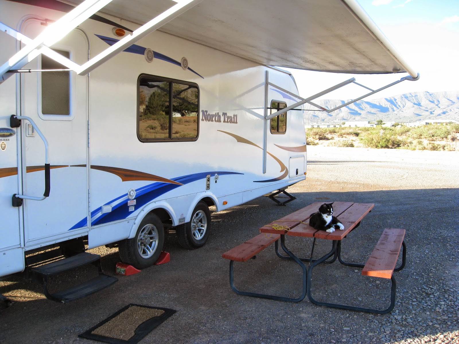 Have Cats, Will Travel Trailer