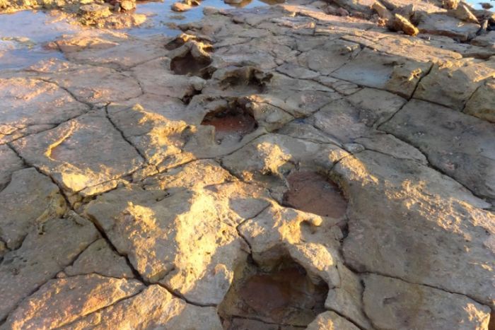 Hands off Country: World's largest dinosaur footprint found in area for ...