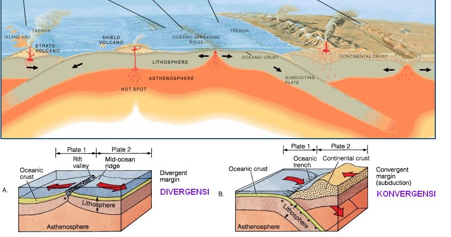 Citra Anggraini TENAGA ENDOGEN DAN TENAGA EKSOGEN