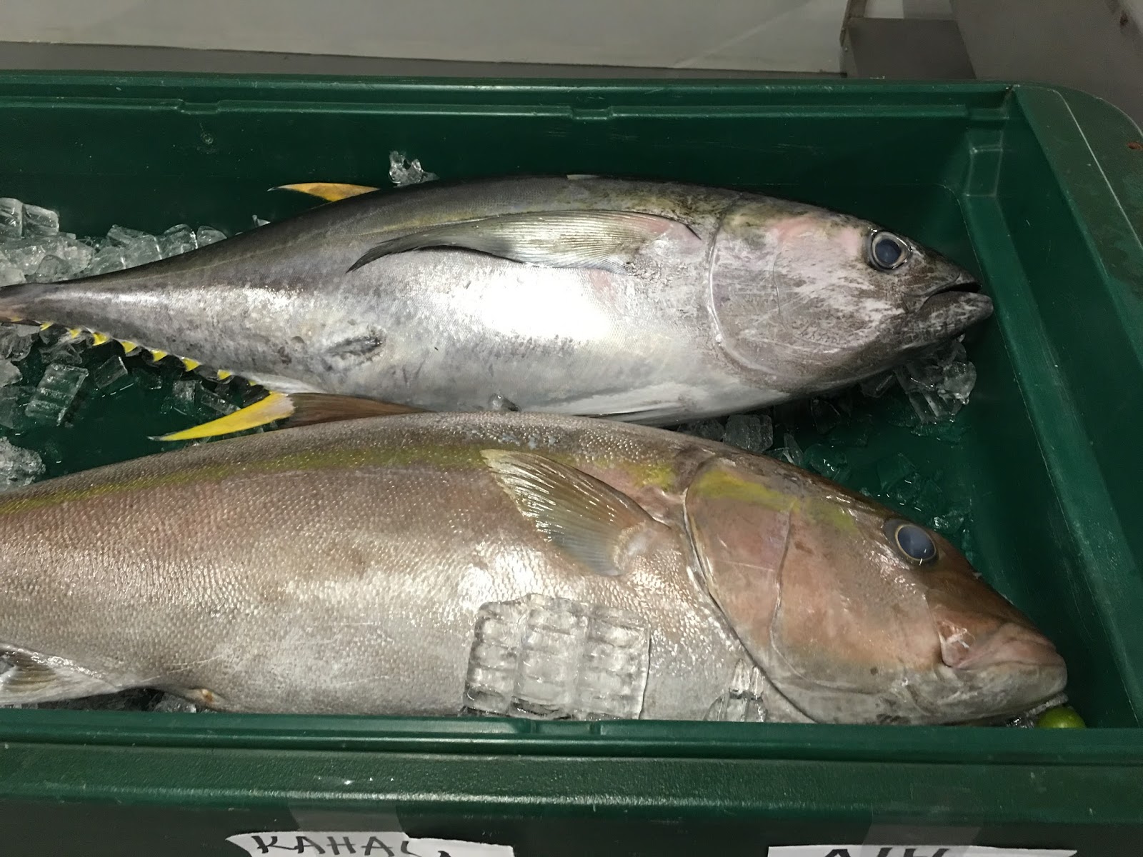 TASTE OF HAWAII WAIPAHU PLANTATION MARKETPLACE