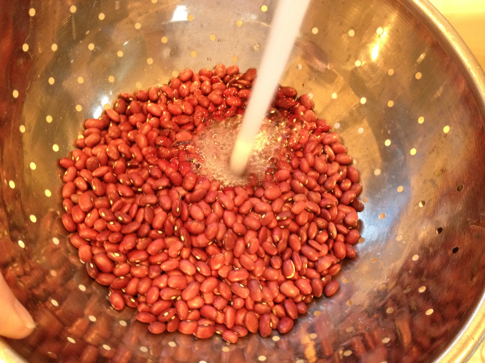 Little Magnolia Kitchen CROCK POT RED BEANS AND RICE