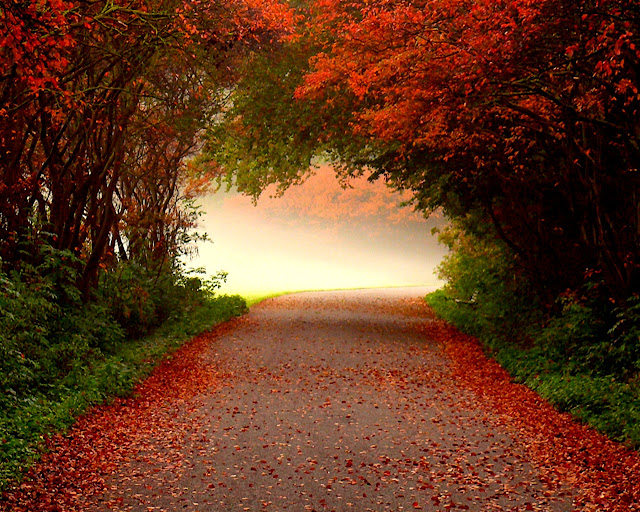 Autumn-pictures-+Wallpaper-Photos-gallery-2011-038