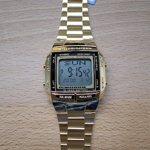 s910dv casio