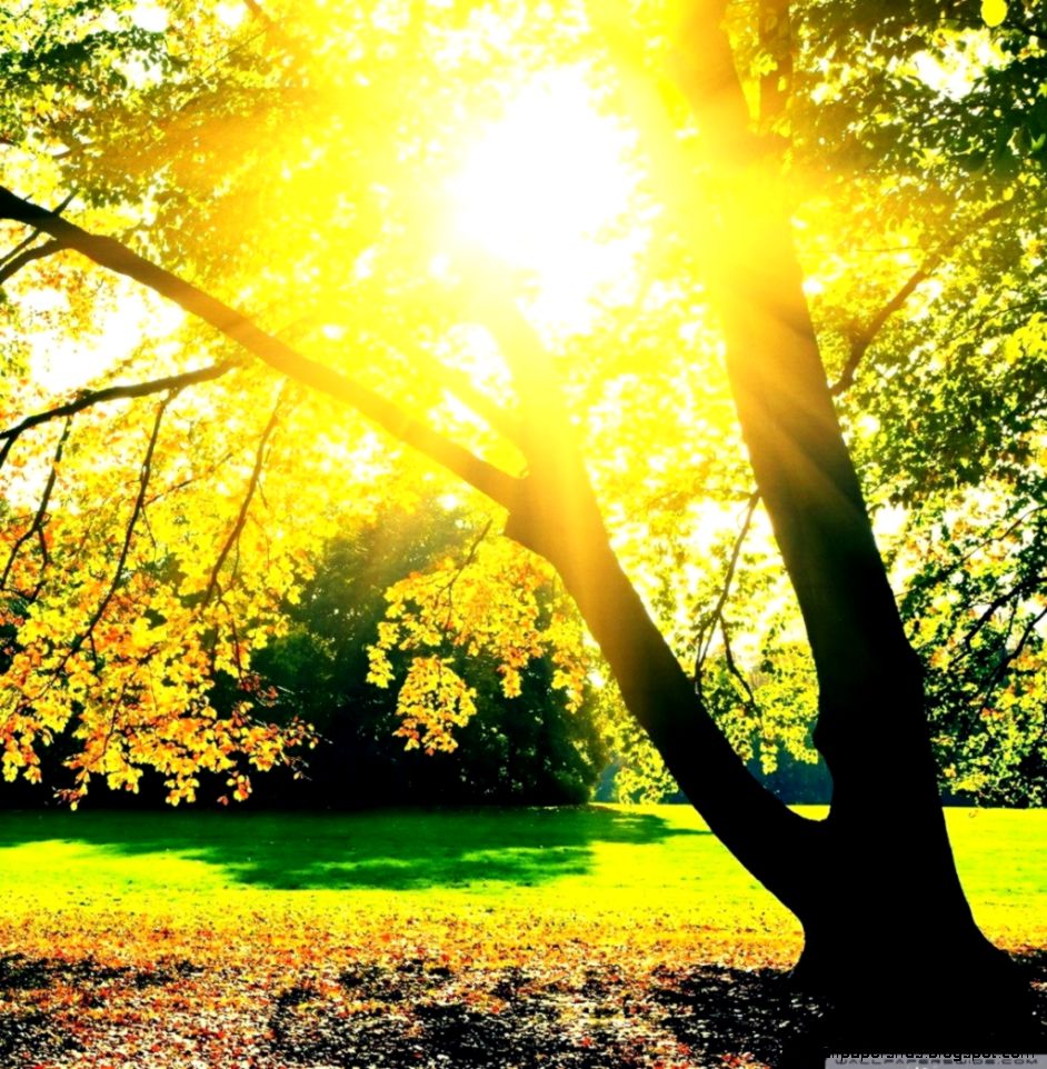 Autumn Sunrise HD desktop wallpaper High Definition Fullscreen Autumn Sunrise HD desktop wallpaper High Definition Fullscreen