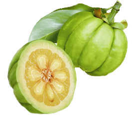 Garcinia-Cambogia-side-effects-on-liver.