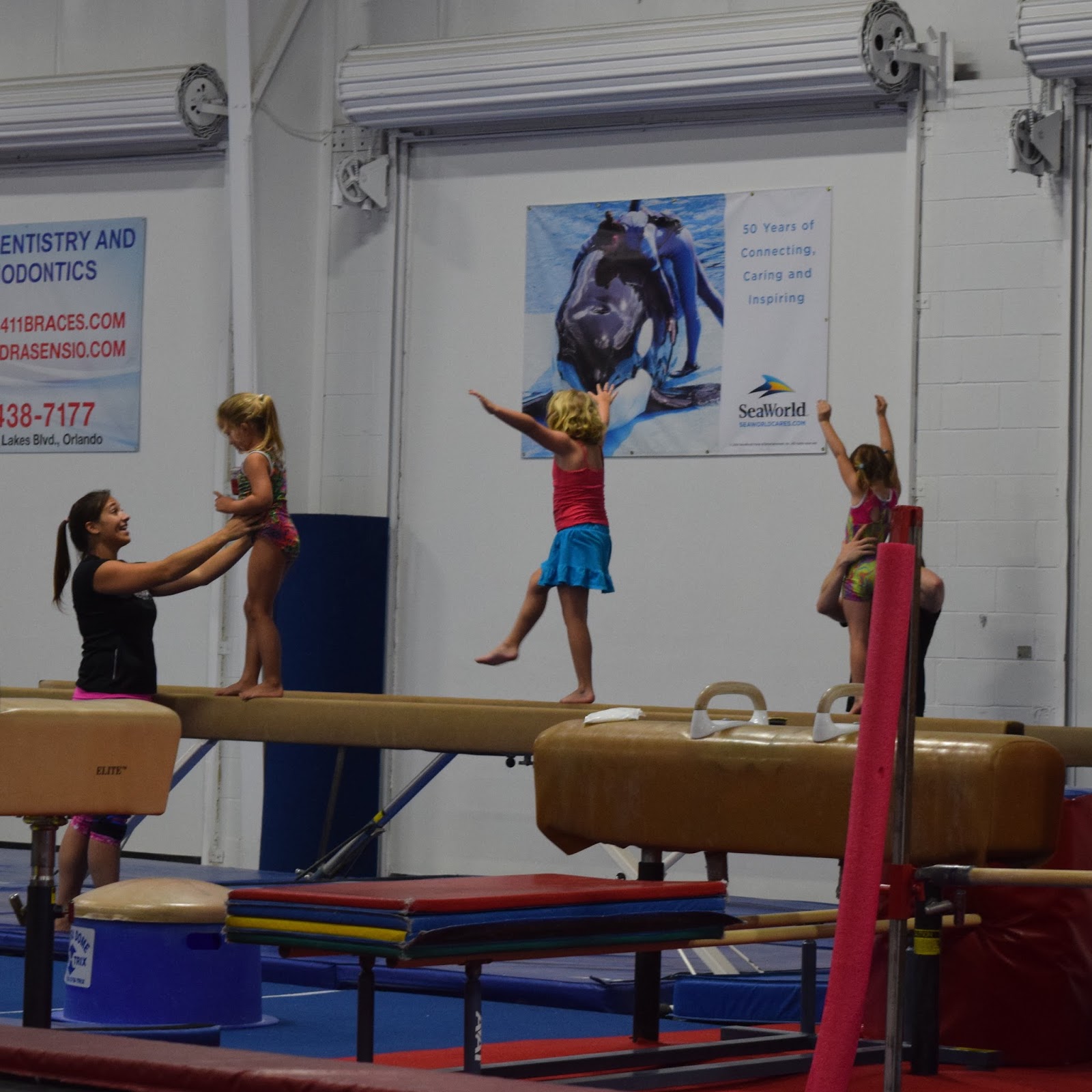 Shanna's Adventures Orlando Gymnastics A Quality Gymnastics Program