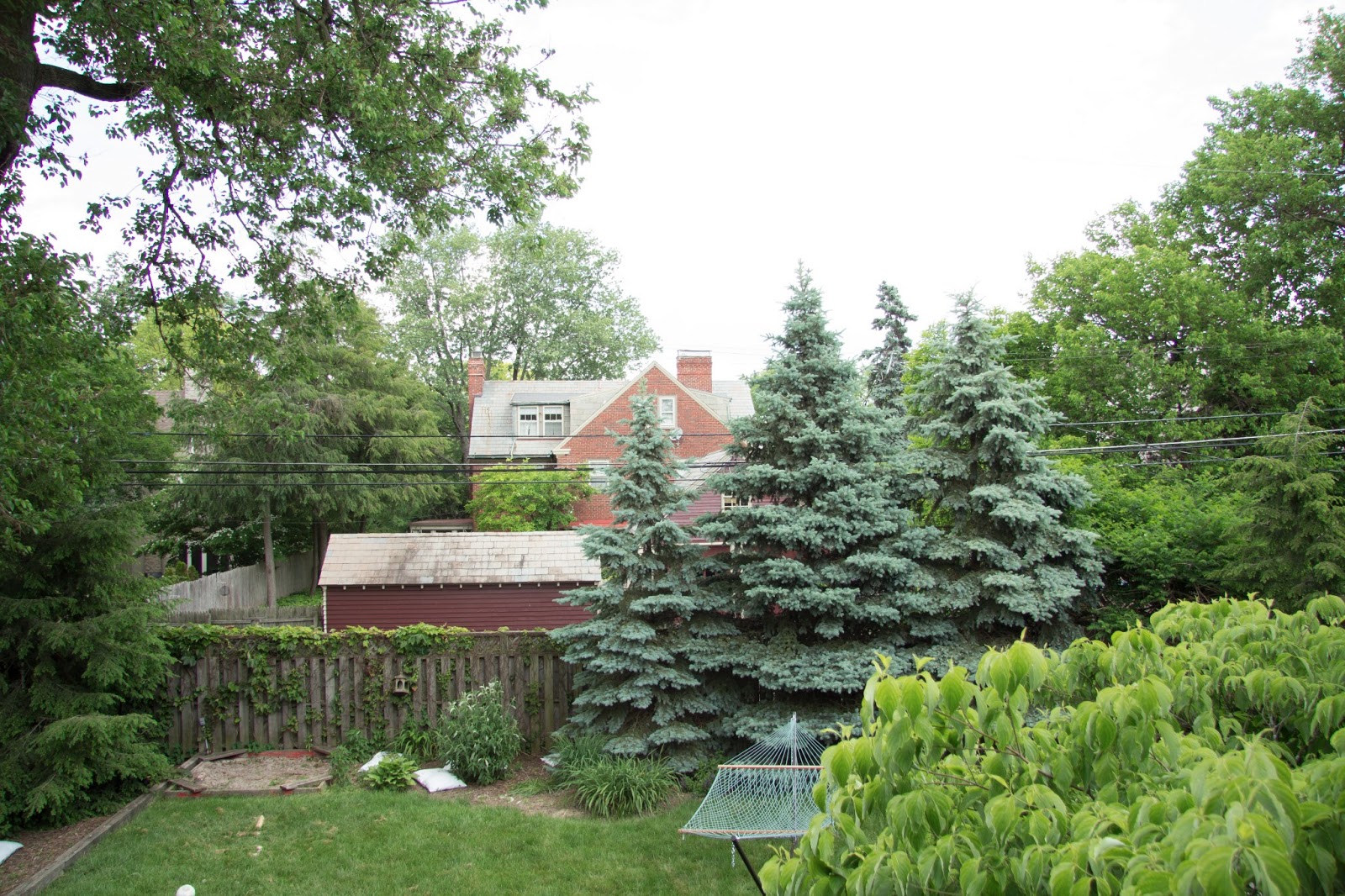 Bush Hedge Models For Cinema 4d Computer Graphics Daily News