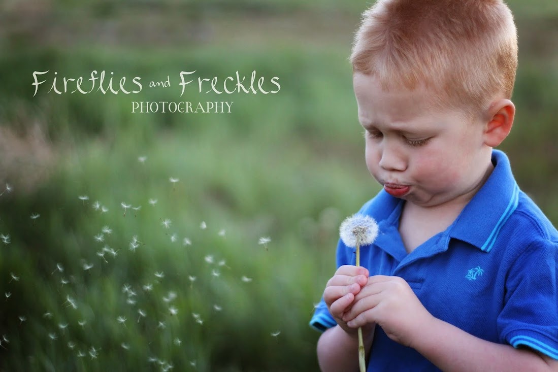 Fireflies and Freckles Photography