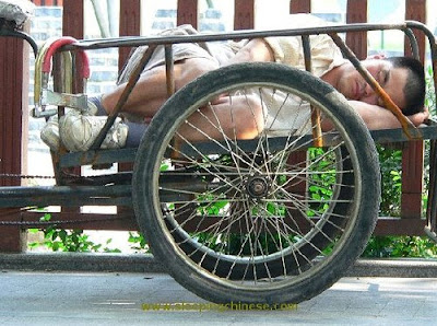 தூக்கம் அவசியம்தான்... அதுக்காக இப்டியா..? (Photo Gallery) Sleep7