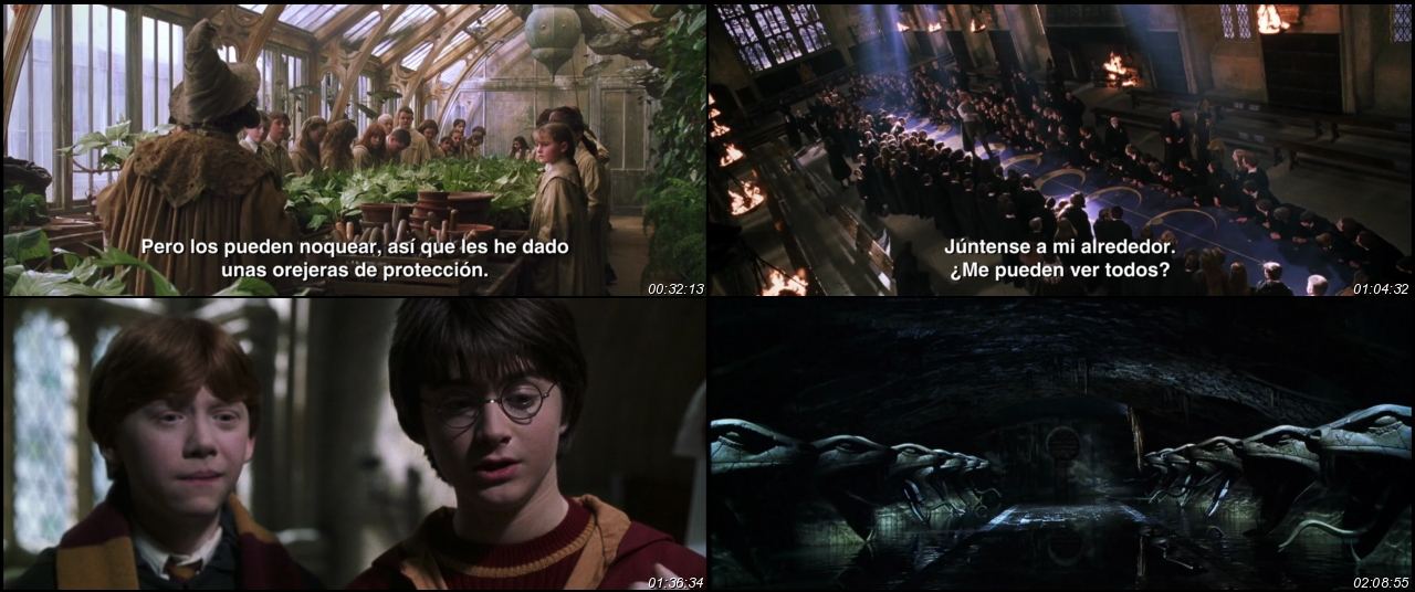 Harry Potter Y La Cámara Secreta Online