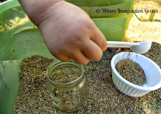 Grass Seed Sensory Bin