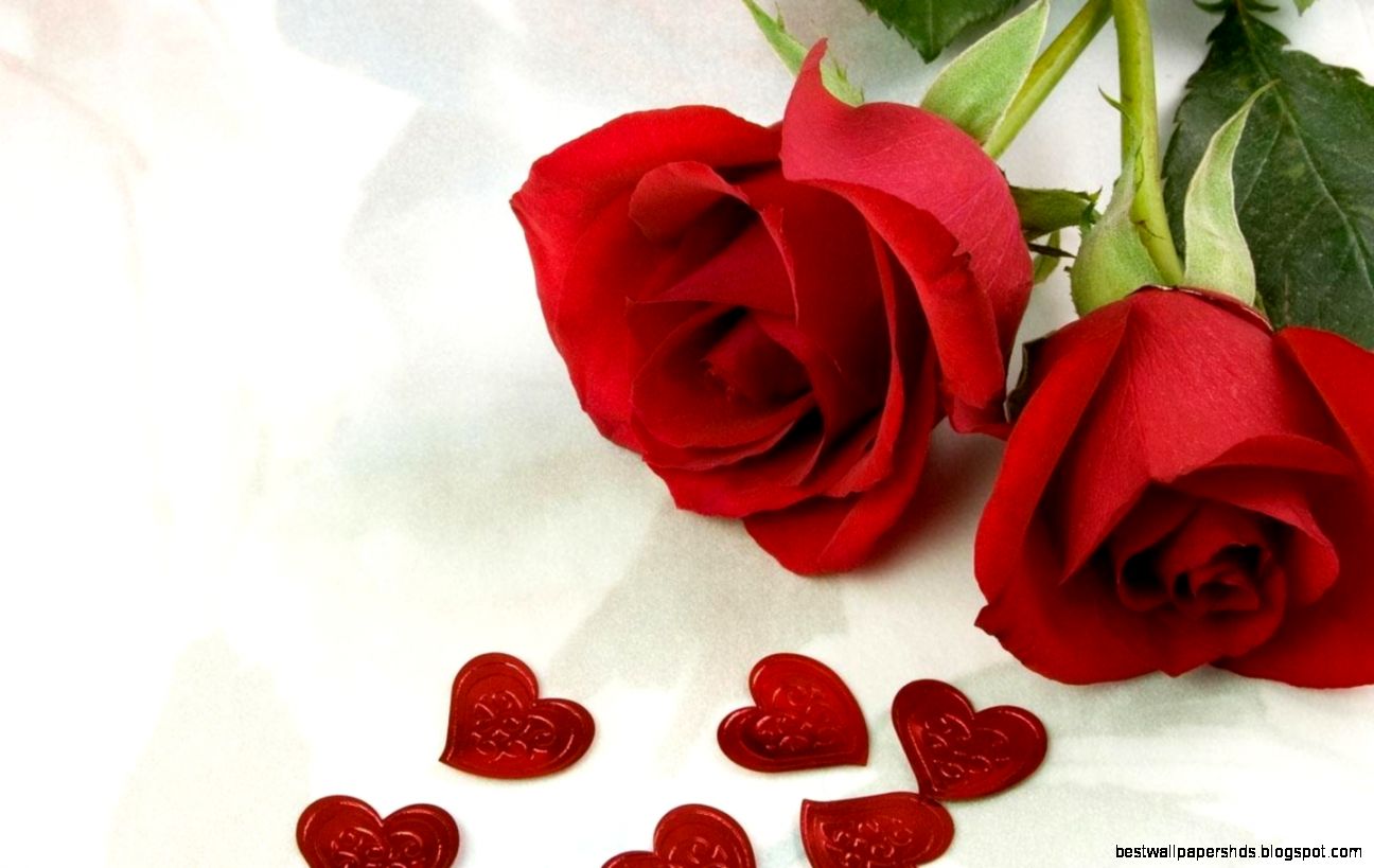 Free Sweet Valentine39s Day Rose wallpaper Wallpapers HD Free Sweet Valentine39s Day Rose wallpaper Wallpapers HD