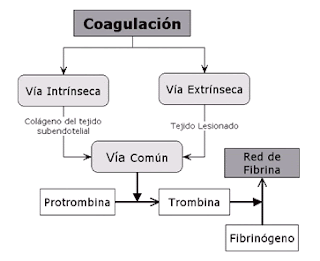 coagulación,protrombina,tpta,hemocromatosis,ferritina alta