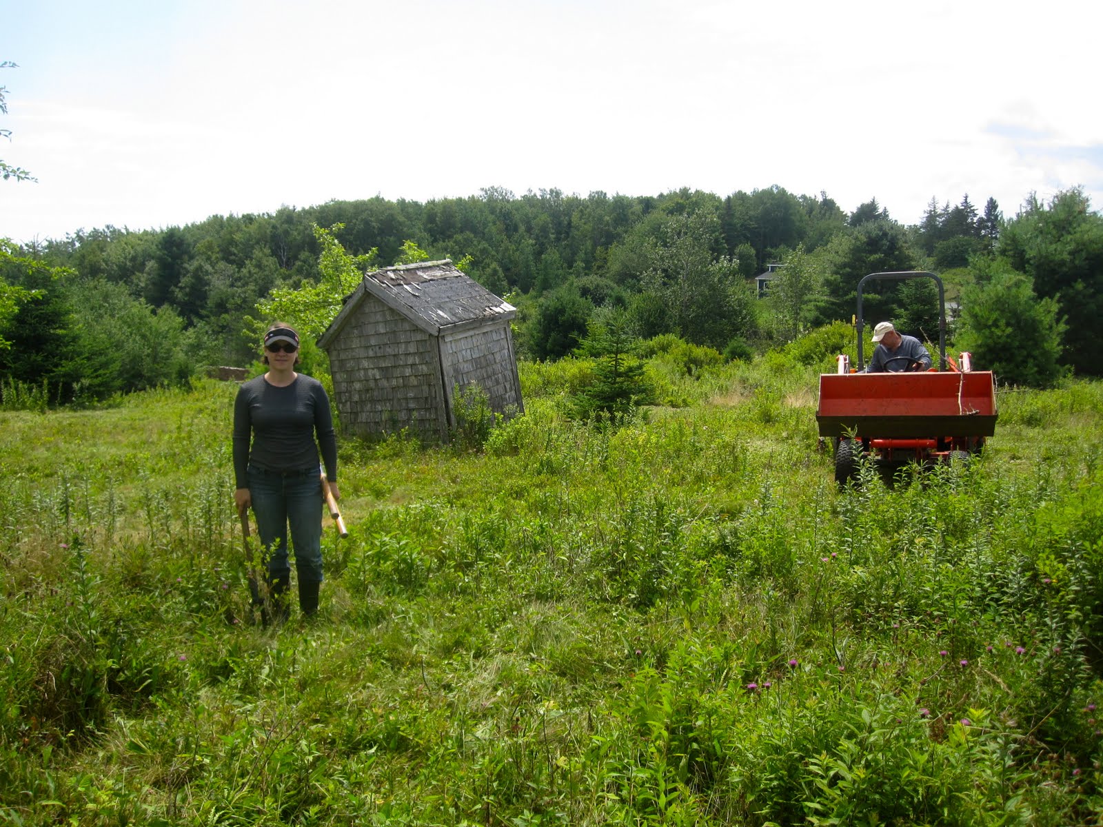 Blueberry Hill Blueberry Hill...