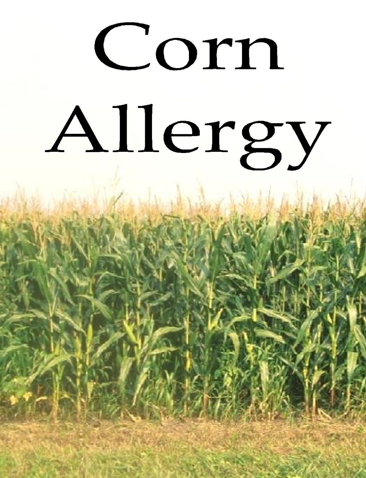Free Posters and Signs Corn Allergy