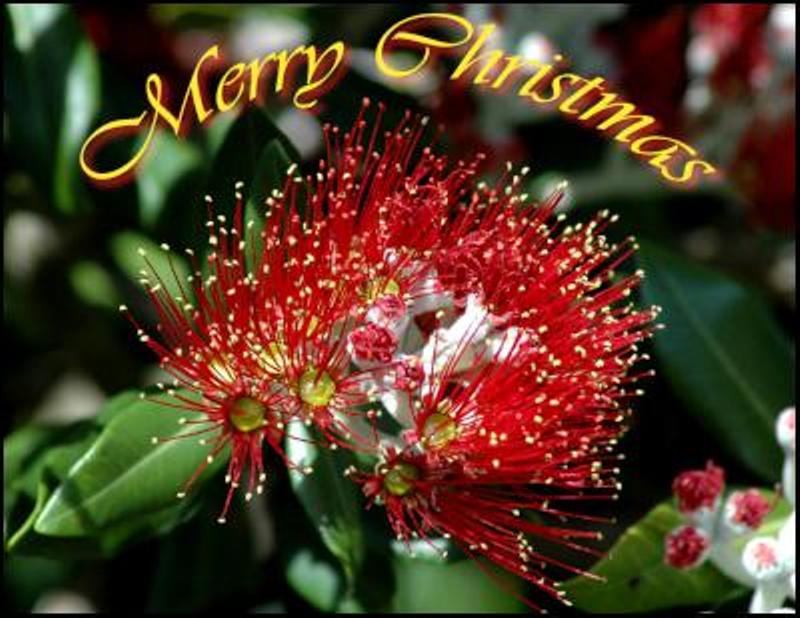 Easter island chile discover chirstmas: christmas wishes