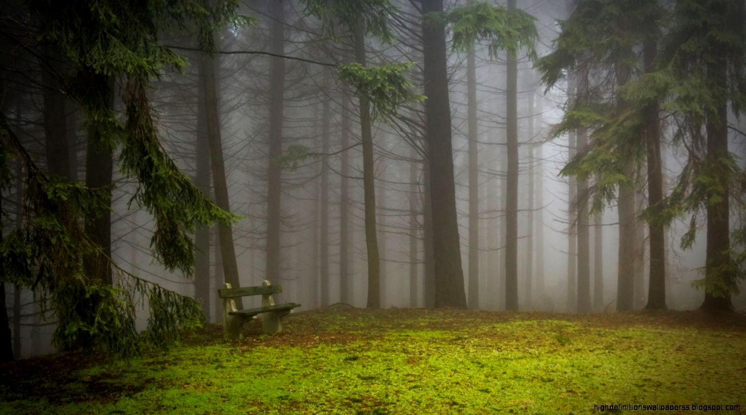 Nature Trees Fog Bench Creative Photography Wallpaper Wallpaper Nature Trees Fog Bench Creative Photography Wallpaper Wallpaper