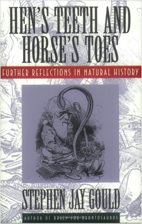 stephen jay gould essay · essay konrad zuse videos stephen jay gould essays how do you value your life essay dissertation on communicative language teaching wood fuel energy crisis. stephen jay gould essay · essay konrad zuse videos stephen jay gould essays how do you value your life essay dissertation on communicative language teaching wood fuel energy crisis.