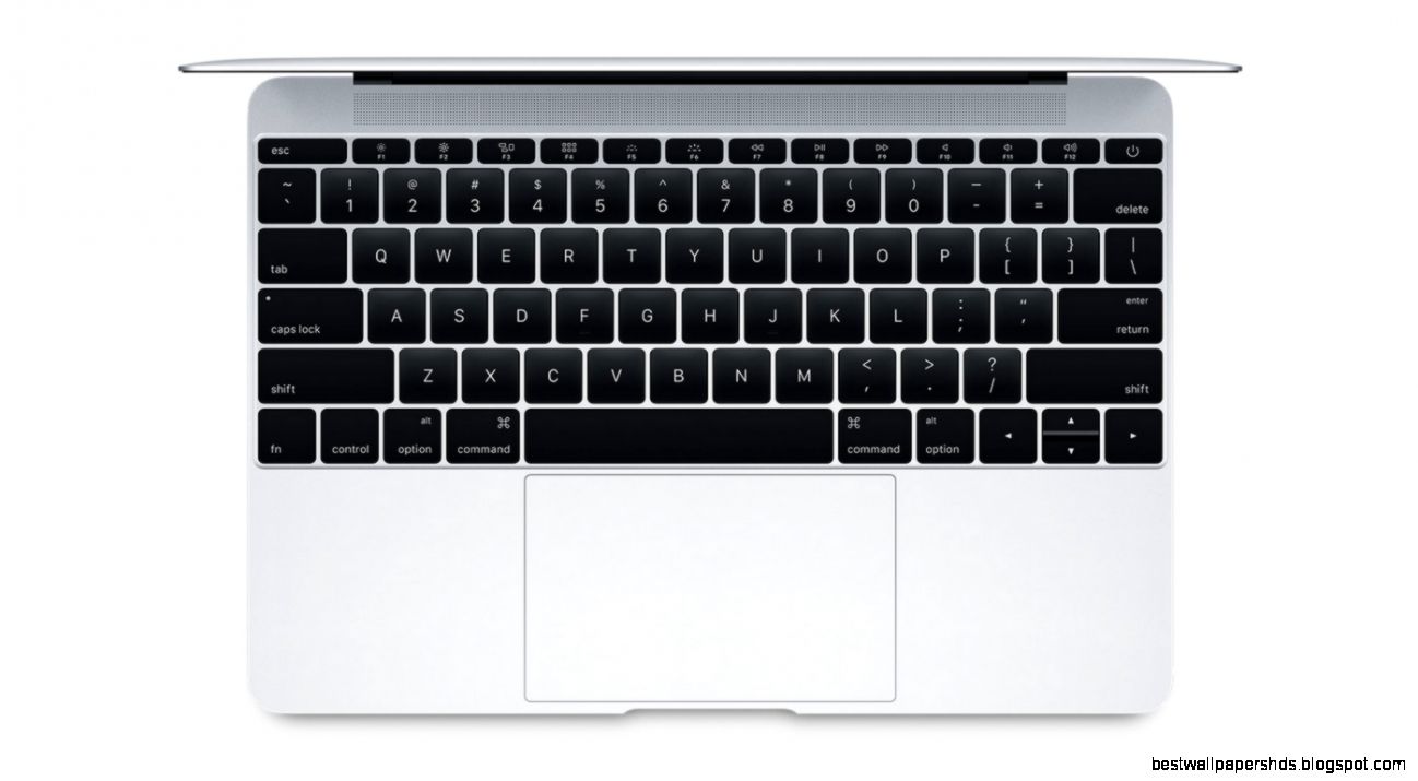 New “Butterfly” keyboard switch in next gen Apple MacBooks New “Butterfly” keyboard switch in next gen Apple MacBooks