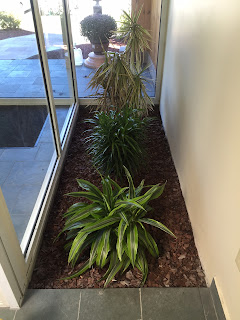 chelmsford MA office plant service;office plant maintenance chelmsford MA;