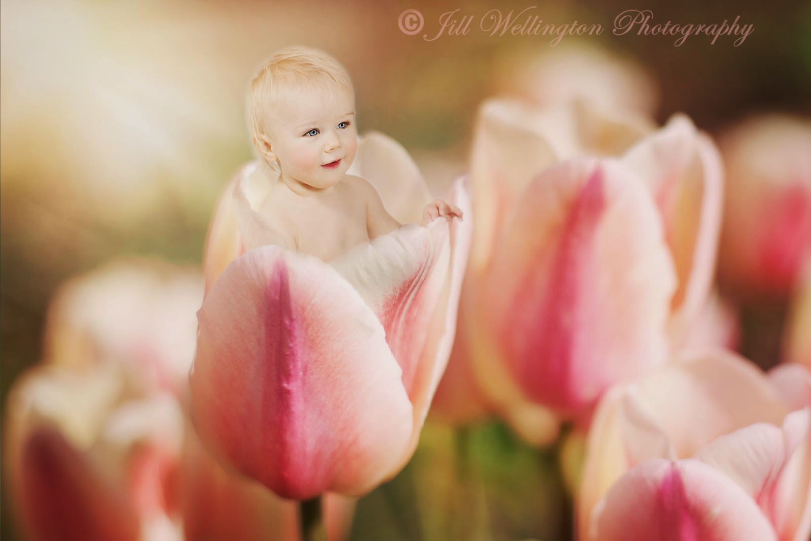 For Photographers Flower Babies