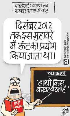 hindi cartoon, FDI in Retail, congress cartoon, mayawati Cartoon, bsp cartoon, indian political cartoon